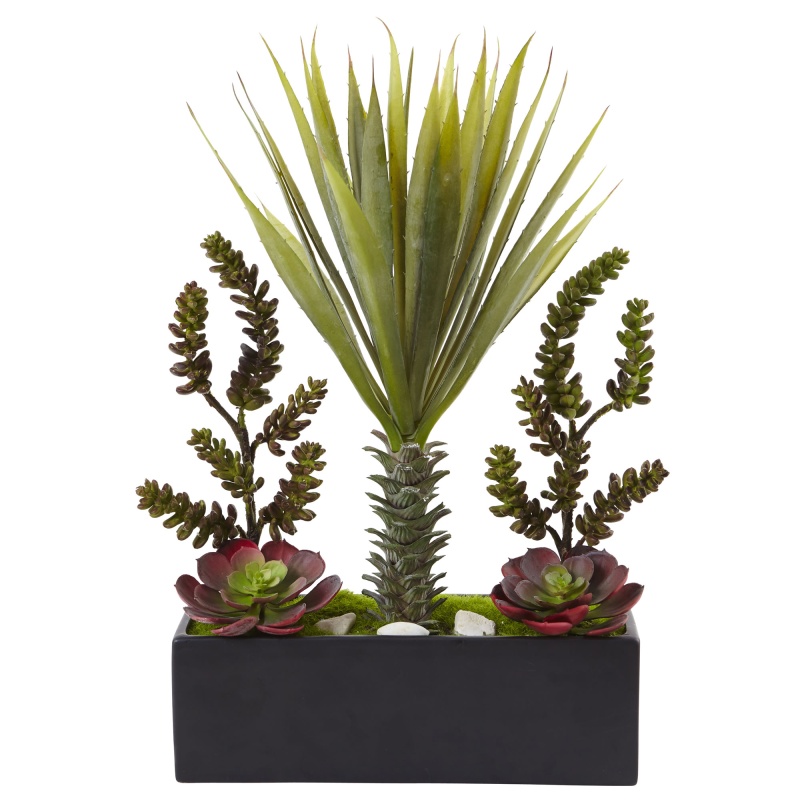 Succulent Garden In Rectangular Planter