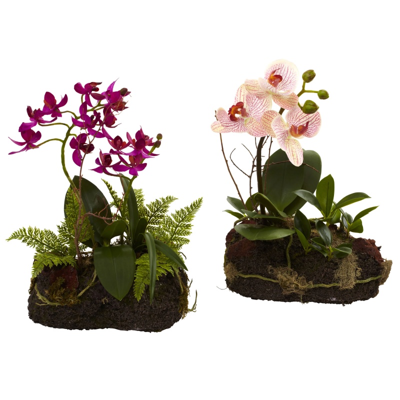 Orchid Island (Set Of 2)