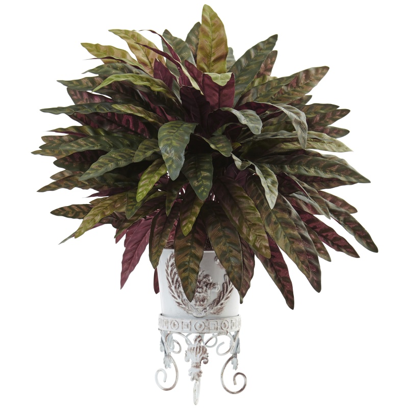 Peacock Bush With Metal Planter