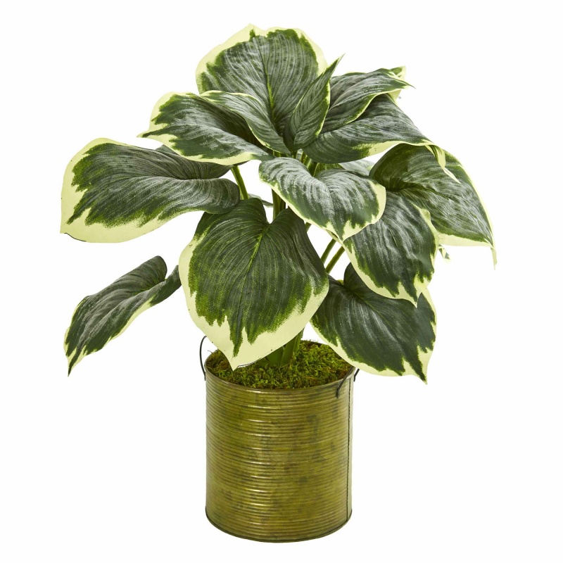 23” Variegated Hosta Artificial Plant In Metal Planter