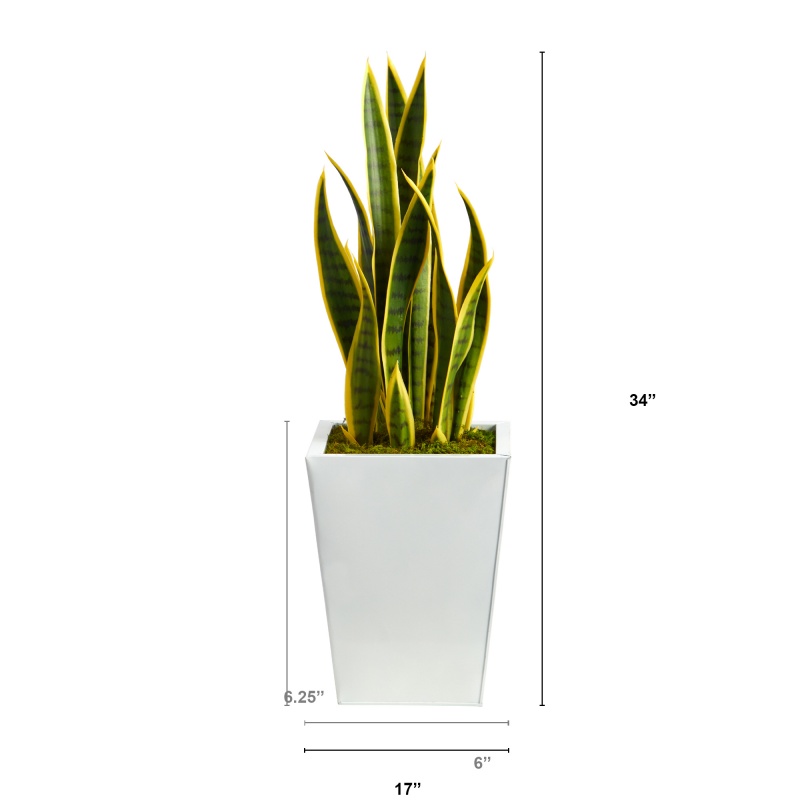 Product thumbnail 6