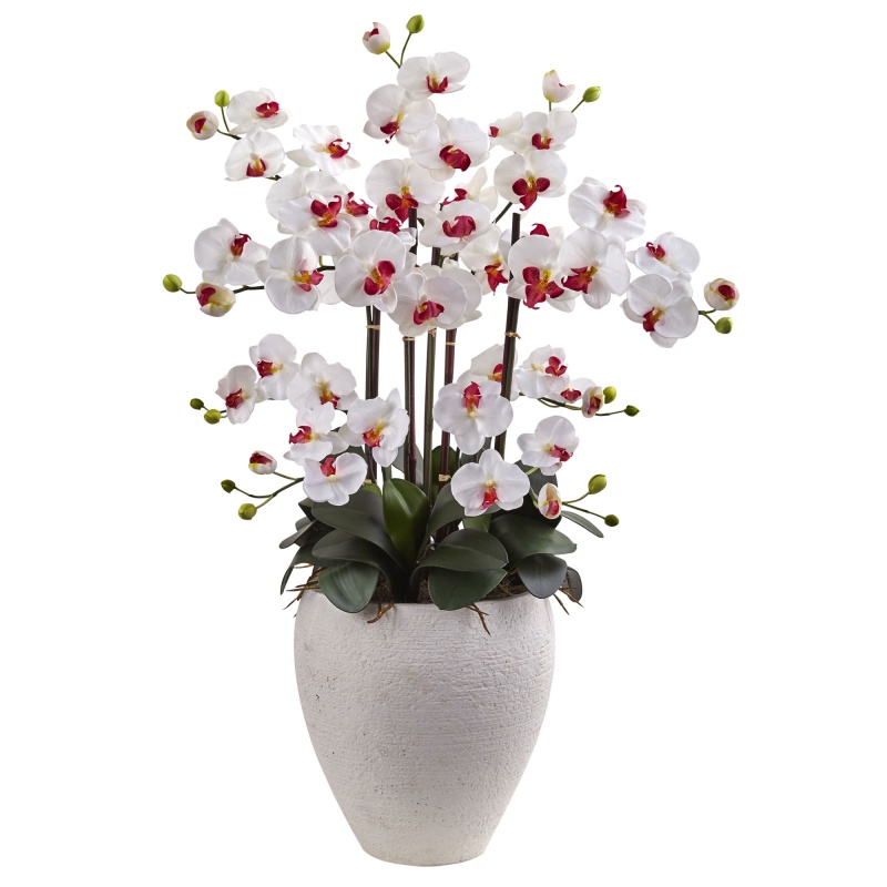 Phalaenopsis Orchid With White Planter