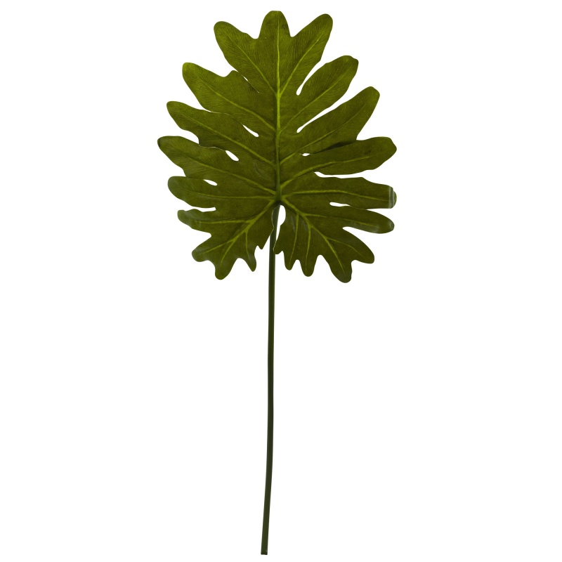 Selloum Philo Single Leaf Stem (Set Of 12)
