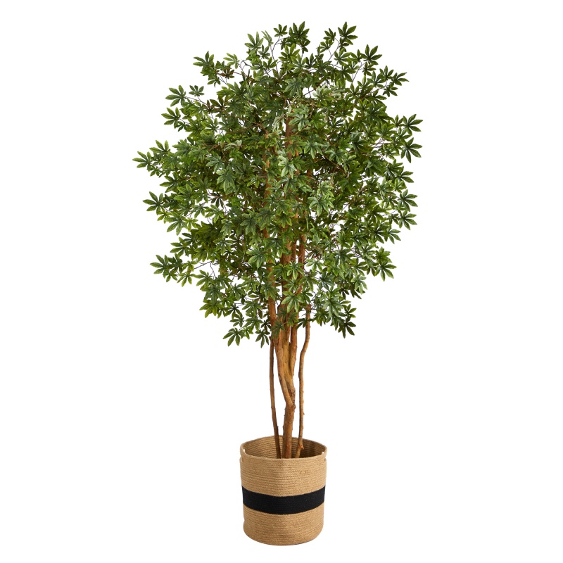 6’ Japanese Maple Artificial Tree In Handmade Natural Cotton Planter
