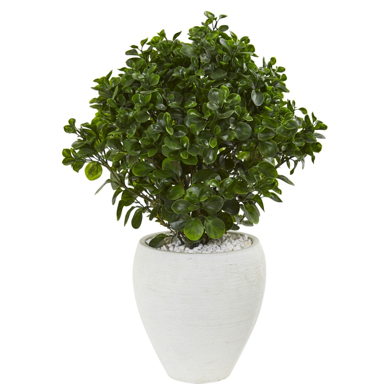 32” Peperomia Artificial Plant In White Planter Uv Resistant (Indoor/Outdoor)