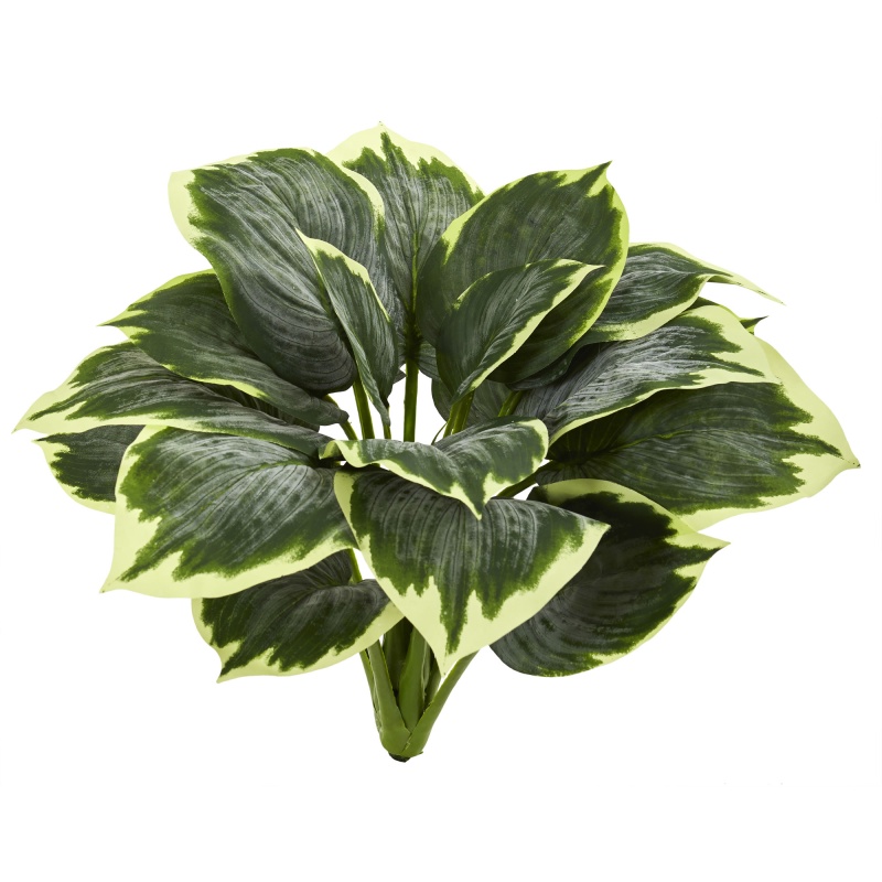 Variegated Hosta Artificial Plant (Set Of 6)