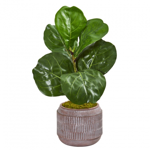 23” Fiddle Leaf Artificial Plant In Stoneware Planter