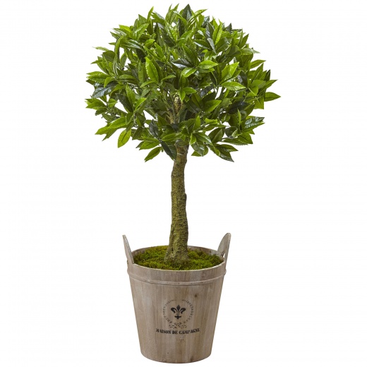 Sweet Bay Topiary With Farmhouse Planter