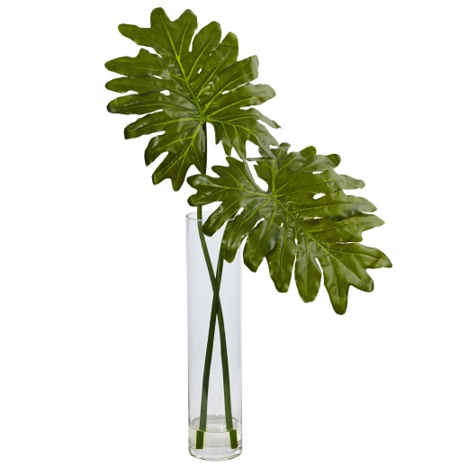 Selloum In Cylinder Glass Arrangement