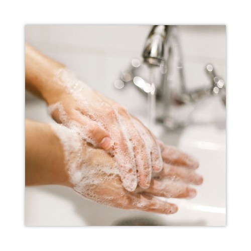 Dial Basics Mp Free Liquid Hand Soap, Unscented, 16 Oz Pump Bottle, 12/Carton