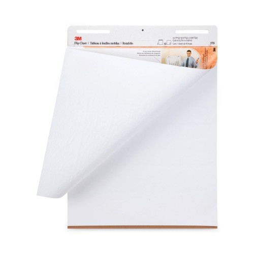 Pacon Heavy-duty Anchor Chart Paper - 25 Sheets - Plain - Unruled - 27 x  34 - White Paper - Heavy Duty, Resist Bleed-through, Recyclable, Built-in  Carry Handle - 4 / Carton