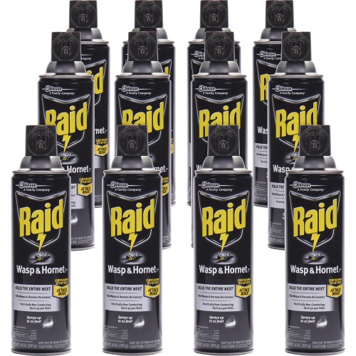 Raid Wasp and Hornet Killer - 14 Oz Aerosol Spray, 12/Carton