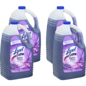 Lysol Disinfectant Heavy-Duty Bathroom Cleaner Concentrate, 1 gal Bottles,  4/Carton (94201CT)