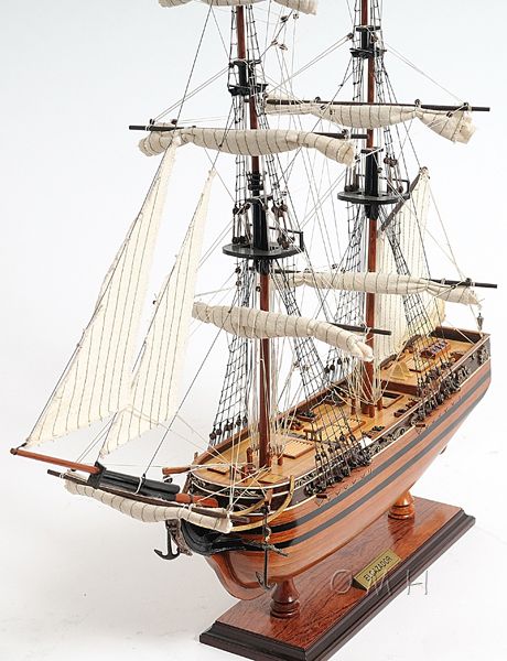 The El Cazador