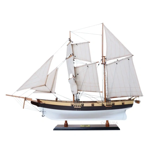 Lynx Painted Model Ship