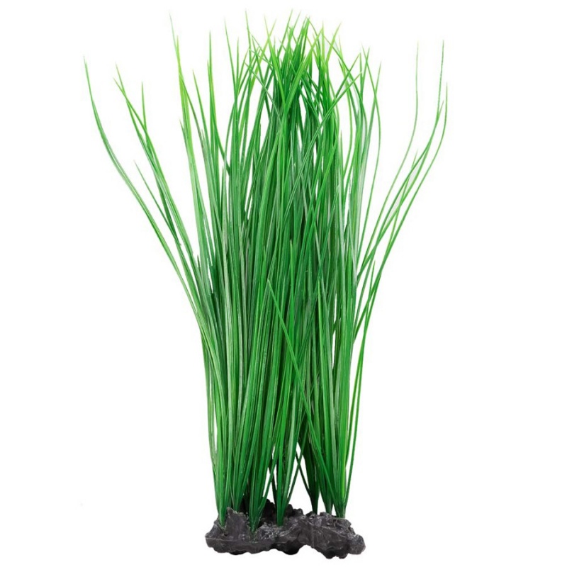 Aquatop Onion Grass Aquarium Plant Green, 1Ea/16 In