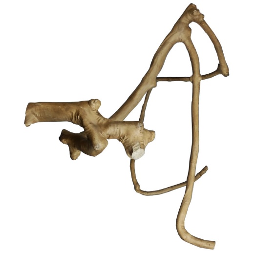 A And E Cages Java Wood Multi Branch Bird Perch Lg