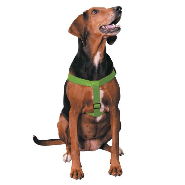 Casual Canine Nylon 2 Step Harness 9-15In Green