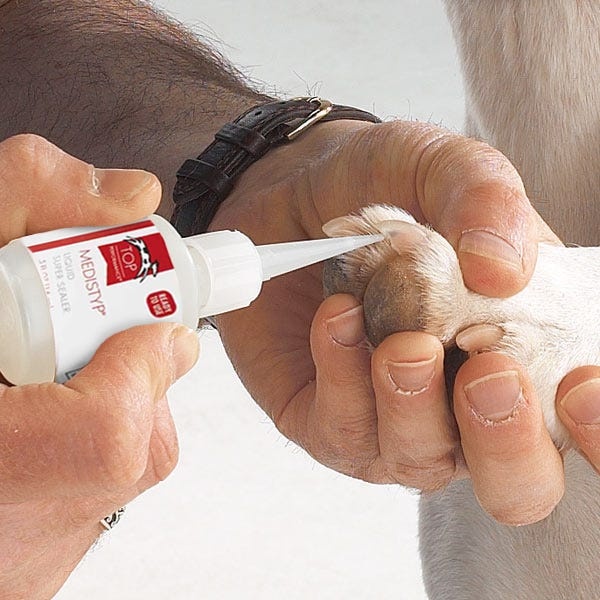 Top Performance Medistyp Liquid Super Sealer