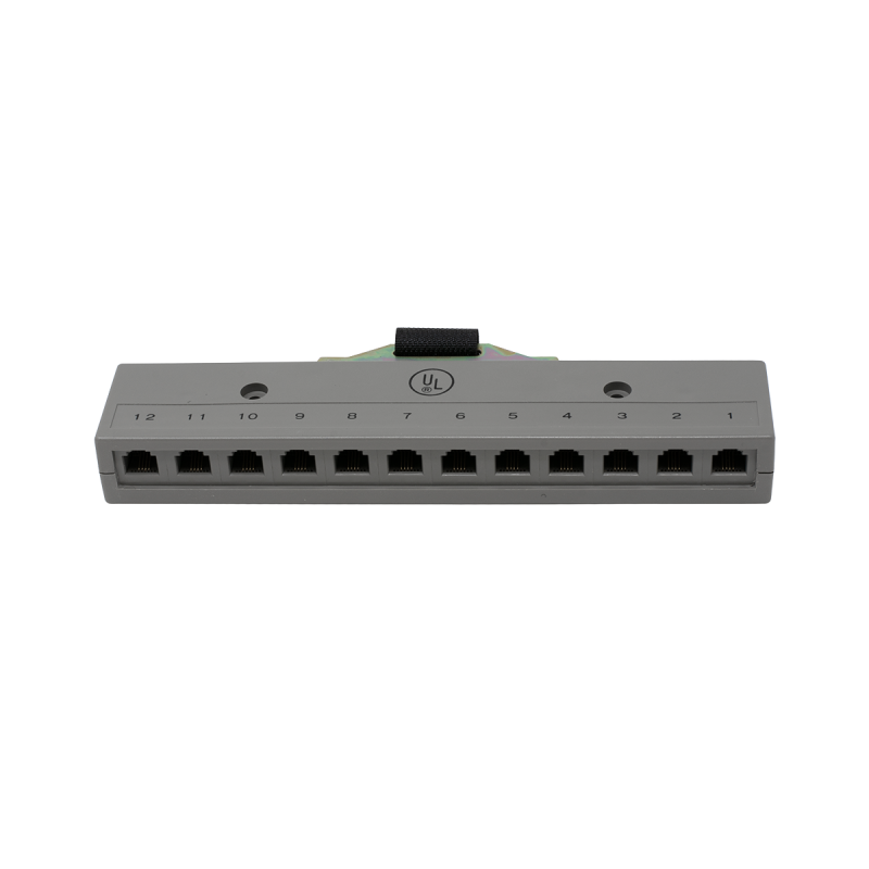 12 Port 2 Pair Harmonica With Female Amp Connector