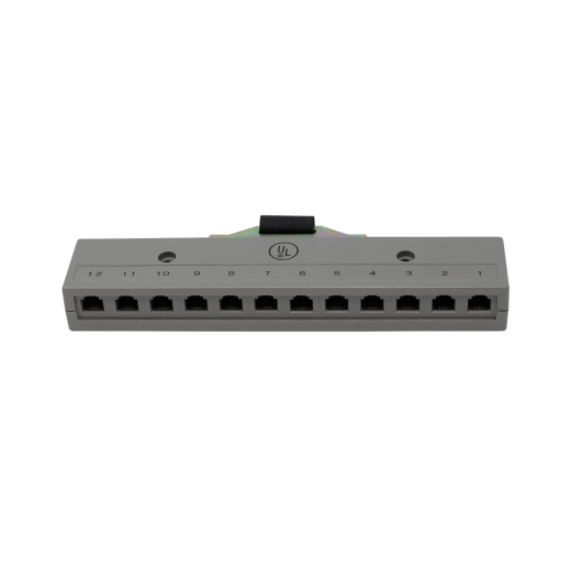 12 Port 2 Pair Harmonica with Female Amp Connector
