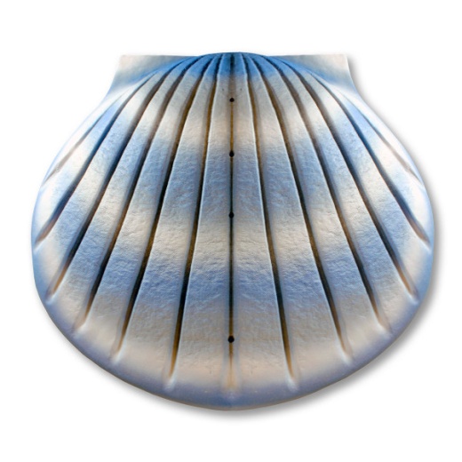 Shell Urn