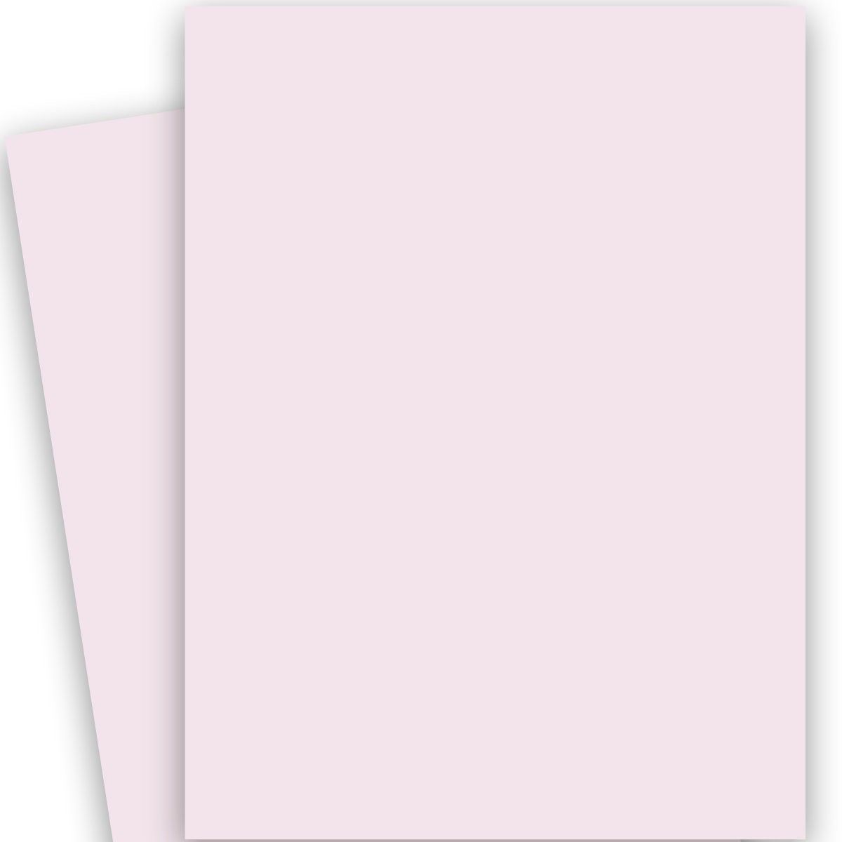 Basic WHITE (Lightweight) Card Stock Paper - 8.5 x 11 - 65lb Cover (176gsm)
