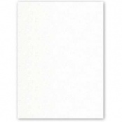 Classic Crest Classic Natural White Card Stock - 8 1/2 x 11 in 110 lb Cover Smooth 125 per Package 304119fp