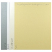 Shine PEWTER - Shimmer Metallic Paper - 8.5 x 11 - 32/80lb Text (118gsm) -  25 PK in 2023