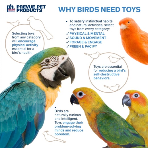 PREVUE PLAYFULS TUG OF WAR BIRD TOY PREVUE PLAYFULS TUG OF WAR BIRD TOY