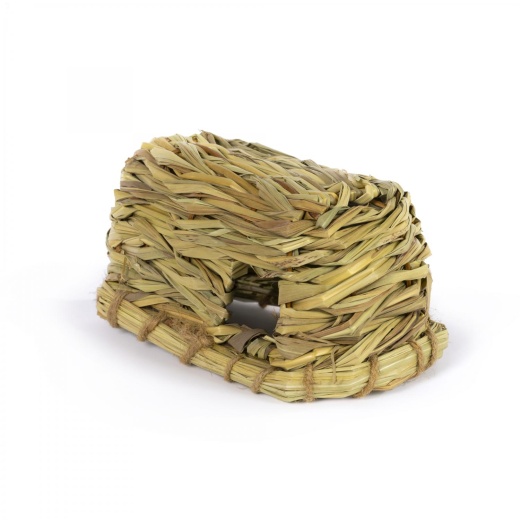 Small Grass Hut