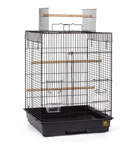 Cockatiel Playtop Bird Cage - Black