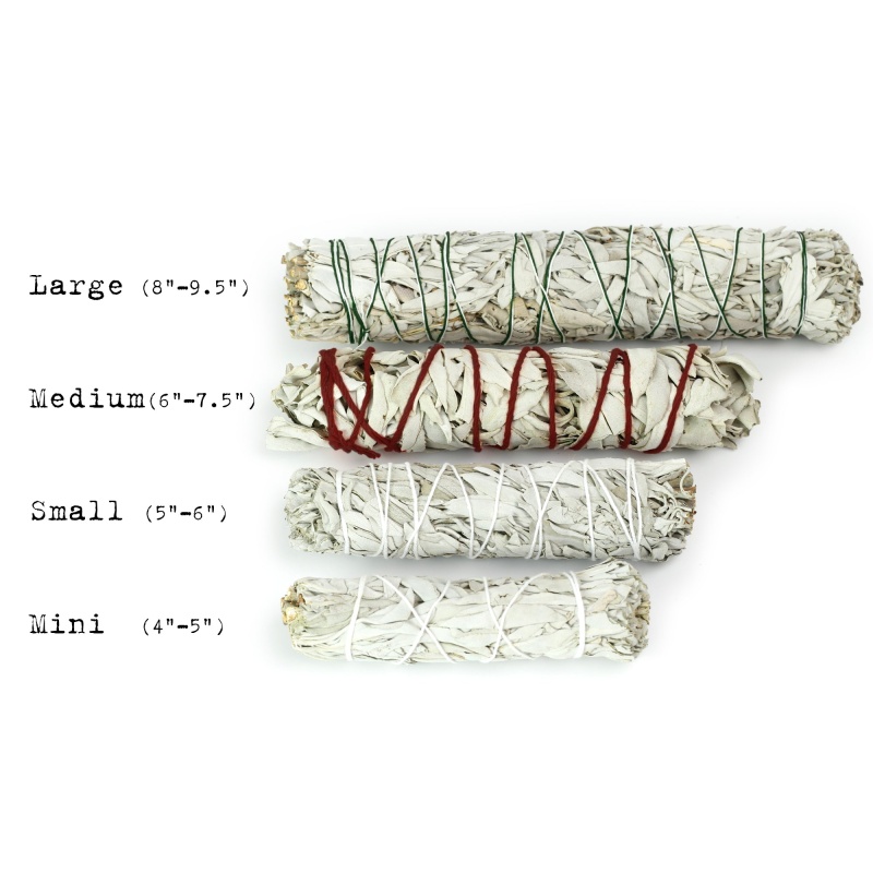 White Sage Smudge Stick - Large Bundle (8"-9.5")