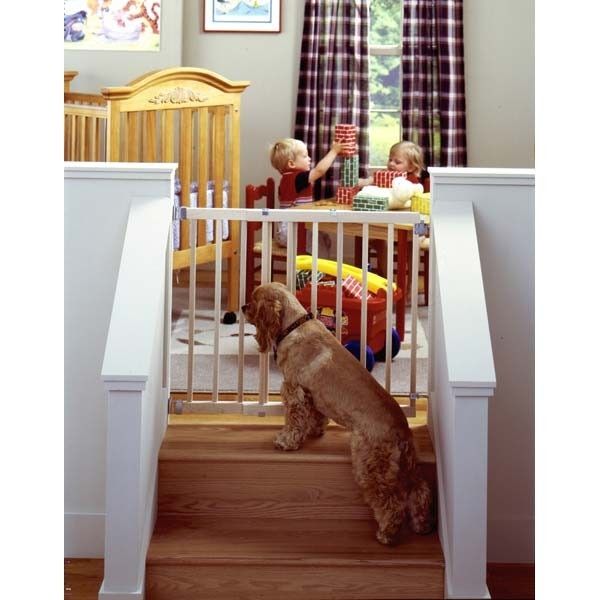 Stairway Swing Pet Gate
