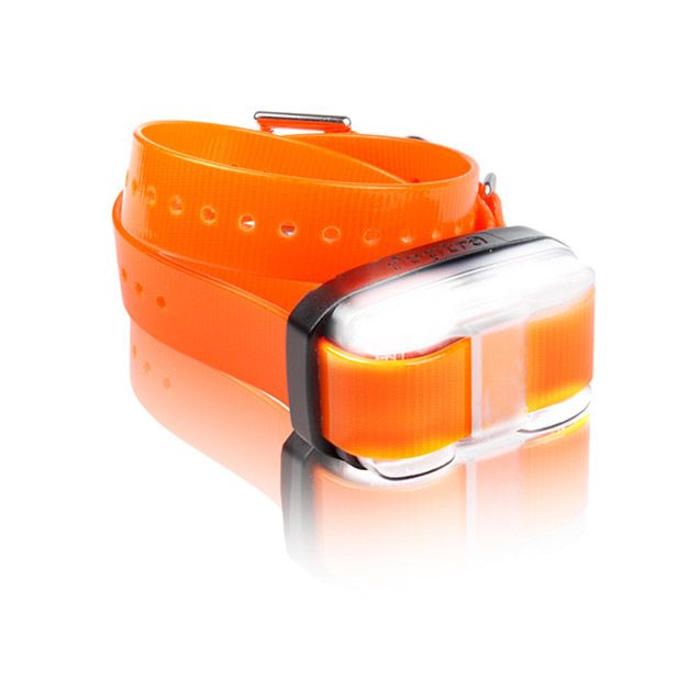 Edge 1 Mile Extra Dog Collar