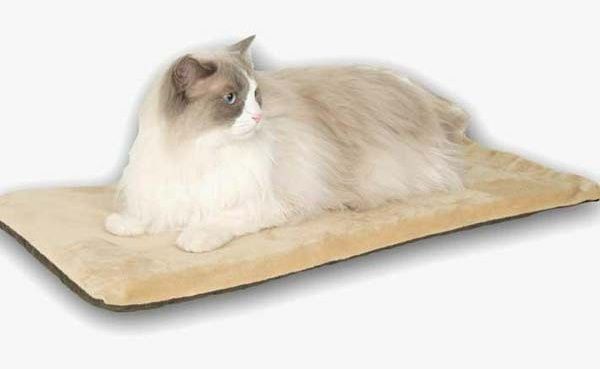 Thermo-Kitty Mat