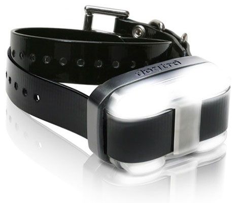 Edge 1 Mile Extra Dog Collar