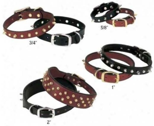 Spike's Collar Doubled And Stitched