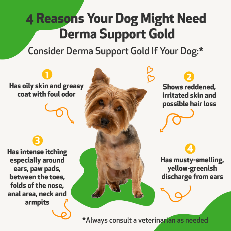 Derma Support Gold - For Dog Healthy Coat, Odor & Itching