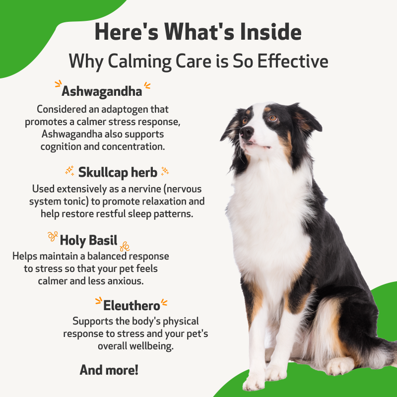 Calming Care - For Dog Anxious Behavior