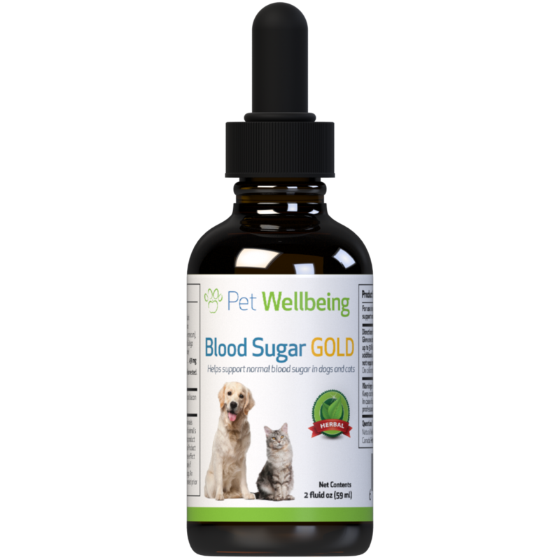 Blood Sugar Gold - For Cat Blood Sugar Support