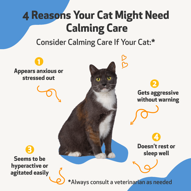 Calming Care - For Cat Anxious Behavior