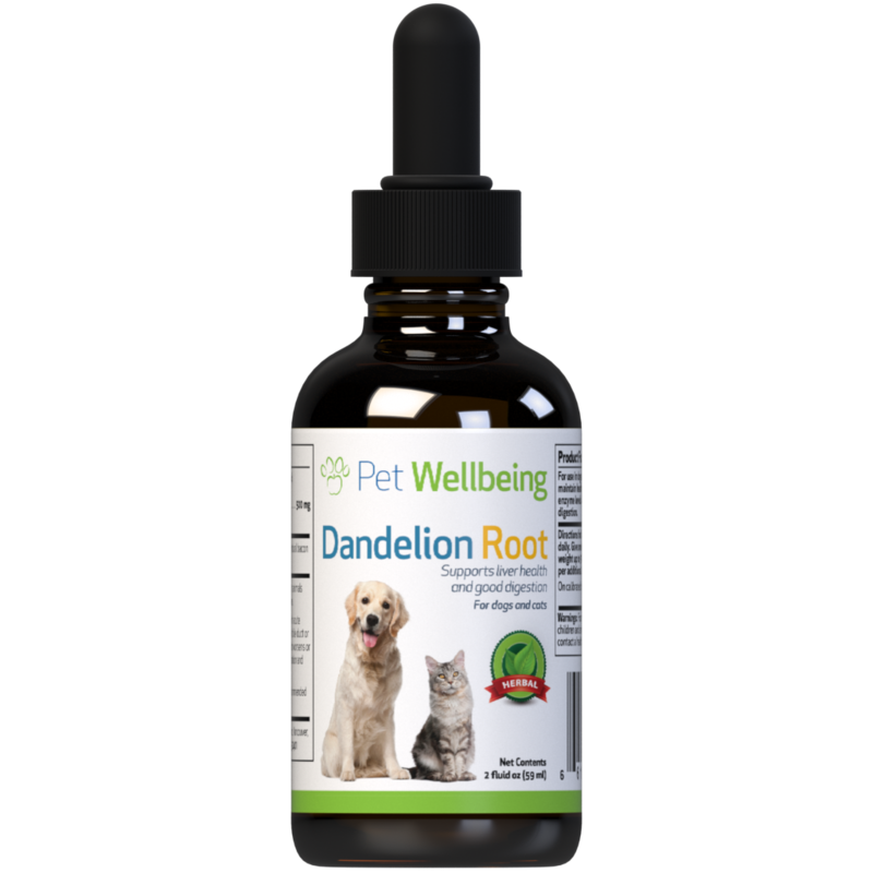 Dandelion Root - Digestive & Liver Support For Dogs