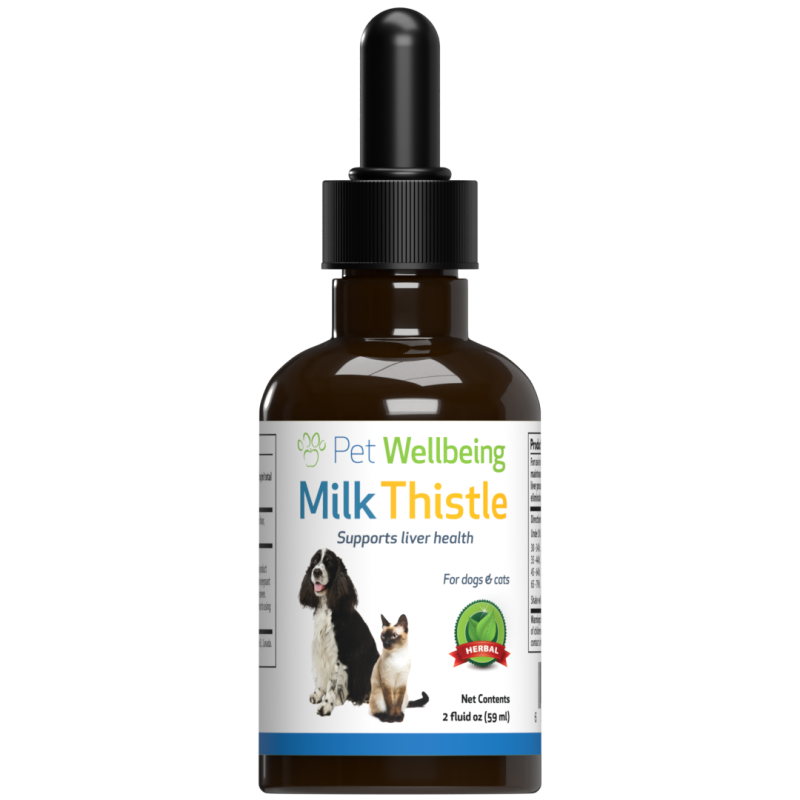 Milk Thistle - For Healthy Liver Function In Cats