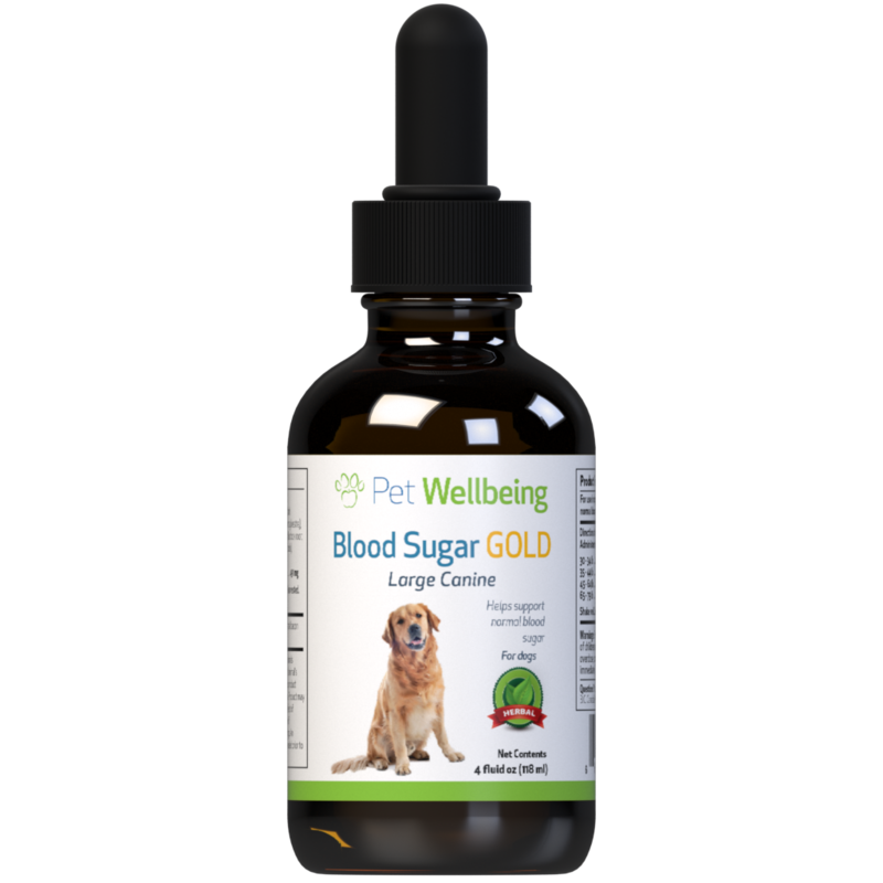 Blood Sugar Gold - For Cat Blood Sugar Support