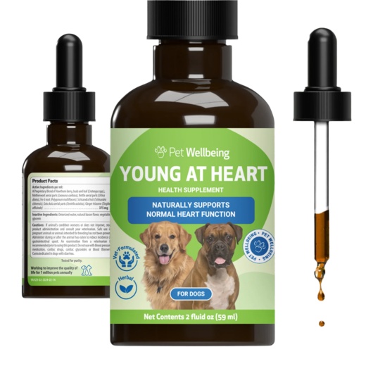 Buy Young At Heart - For Healthy Heart Maintenance In Cats