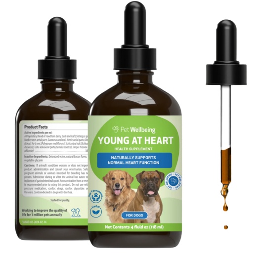 Buy Young At Heart - For Healthy Heart Maintenance In Cats