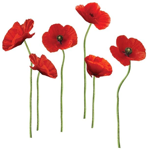 Poppies At Play Giant Wall Decals