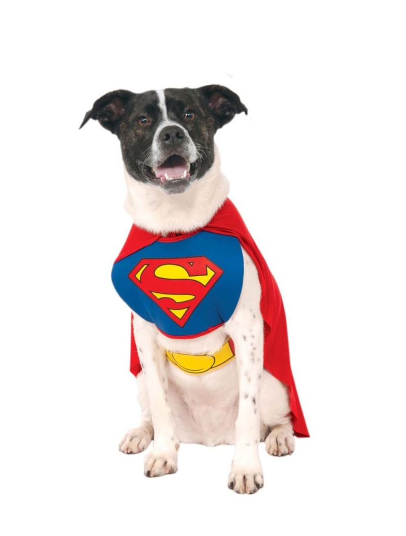 Classic Without Arms Pet Superman Costume Meduim