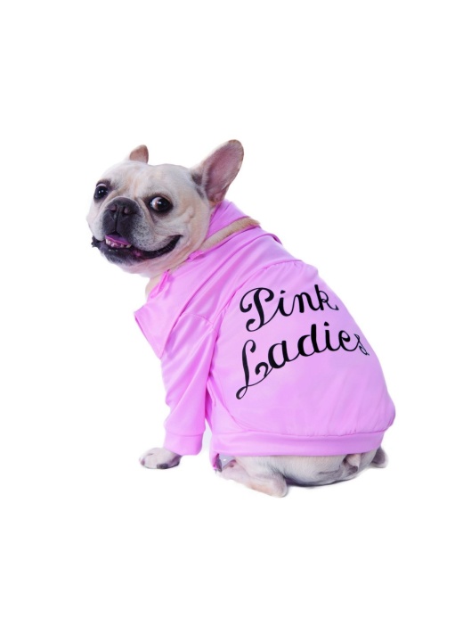 Grease Pink Ladies Jacket Pet Costume l